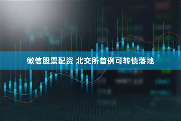 微信股票配资 北交所首例可转债落地