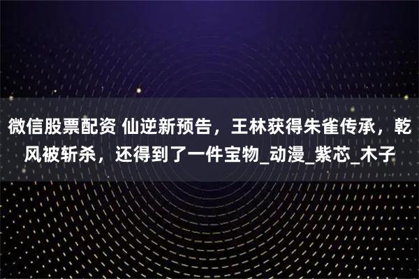 微信股票配资 仙逆新预告，王林获得朱雀传承，乾风被斩杀，还得到了一件宝物_动漫_紫芯_木子