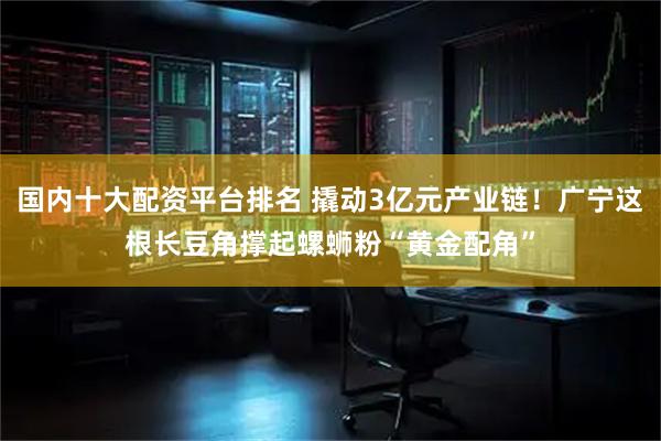 国内十大配资平台排名 撬动3亿元产业链！广宁这根长豆角撑起螺蛳粉“黄金配角”