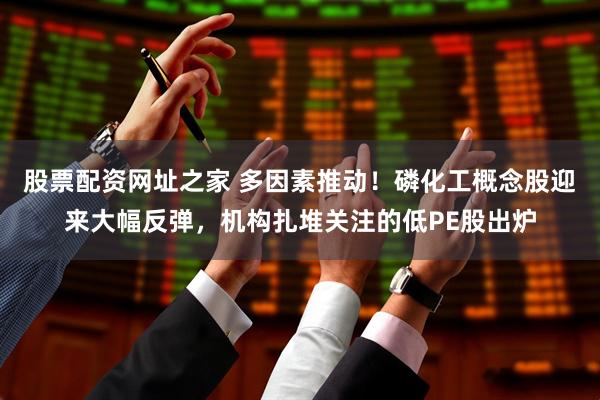 股票配资网址之家 多因素推动！磷化工概念股迎来大幅反弹，机构扎堆关注的低PE股出炉